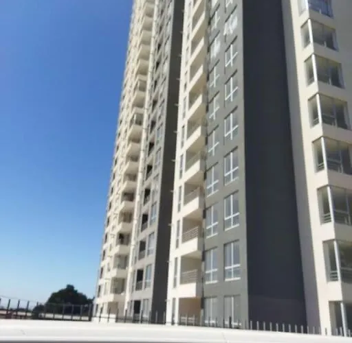 Veranea El 2024 En Vina Del Mar Y Valparaiso